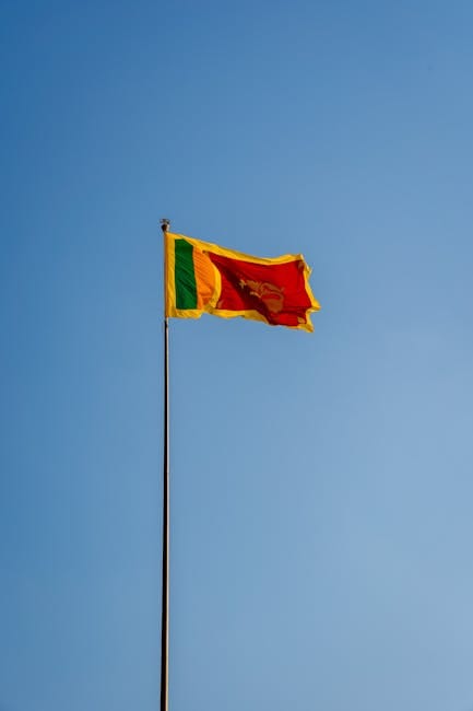 Feature image