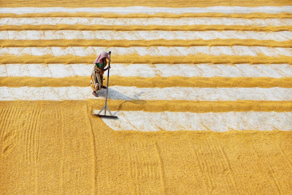 Not one euro returned in farm subsidy scandal post image