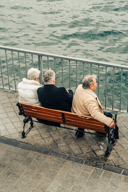 Older Adults Lost Billions to Investment Scams in 2024 as Fraud Soars post image