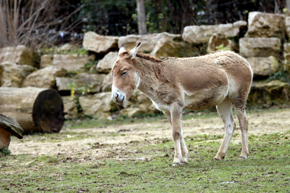 Money Mule Sentenced to Five Years in NT$72 Million Investment Fraud Case post image