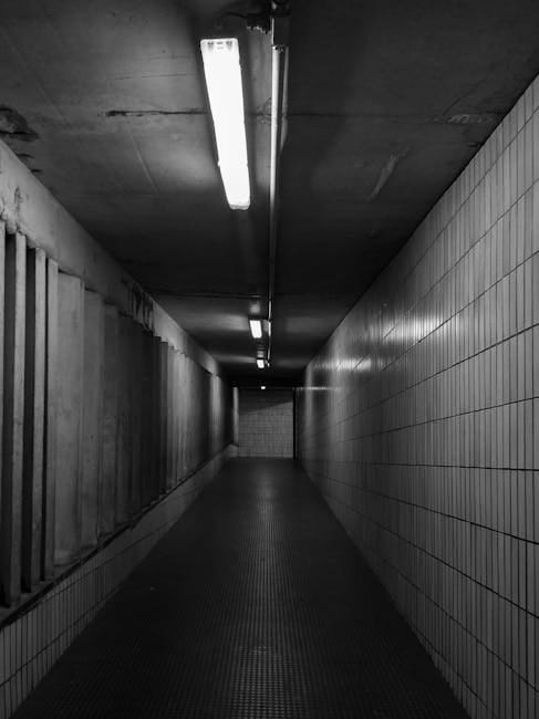 India's Enforcement Directorate Traces ₹34,855 Crore in Cyber Fraud Money Trail post image