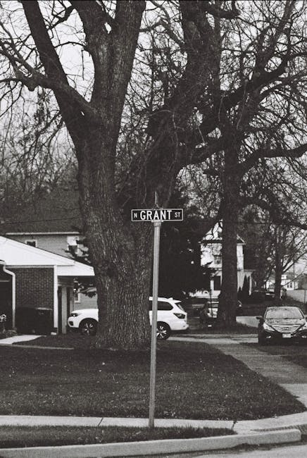 Sassa Fraud Detection Measures Unjustifiably Target Beneficiaries, Experts Claim post image