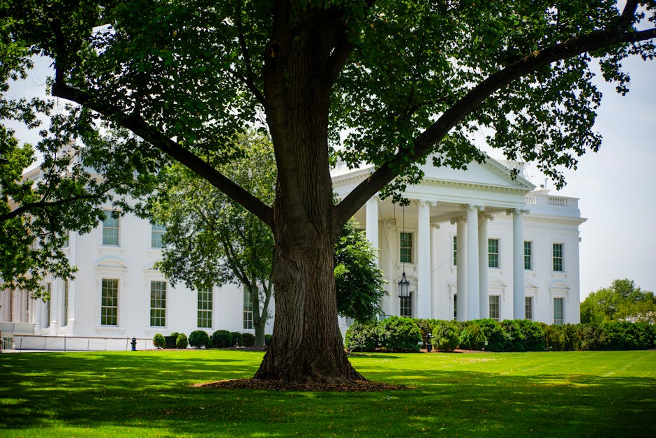 Trump Issues Executive Order on Cybercrime Amid ‘Staggering’ Fraud Surge post image